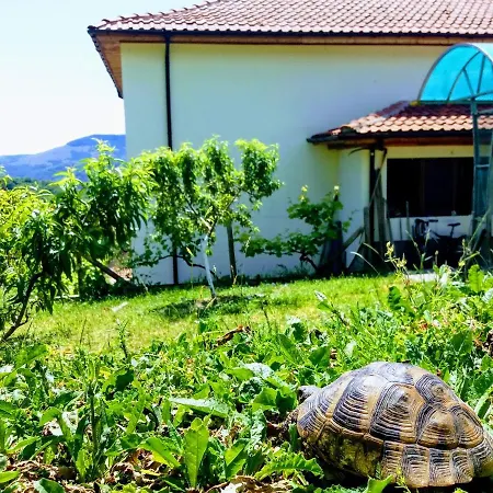 Mihaela Retreat